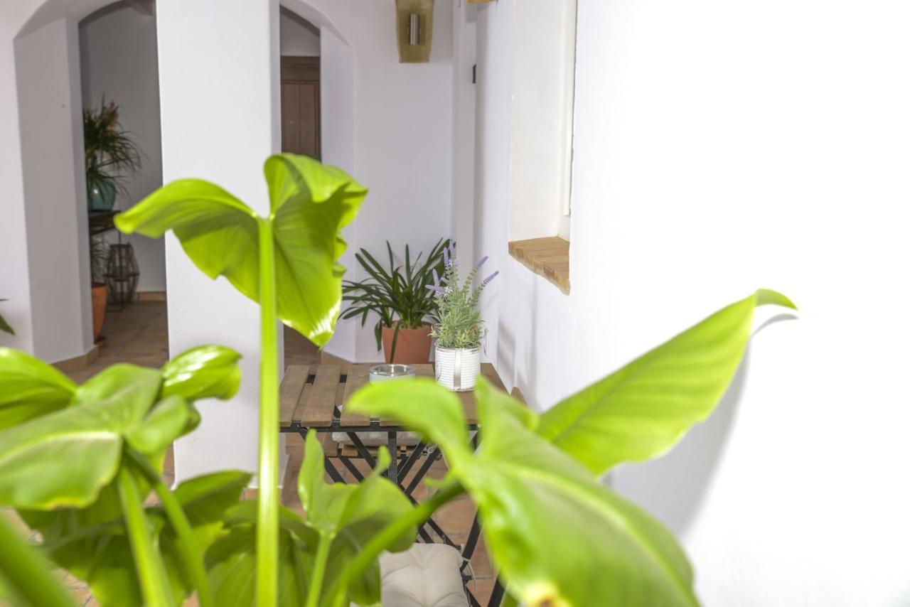 베예데라프론테라 Casa Arbonaida 아파트 외부 사진